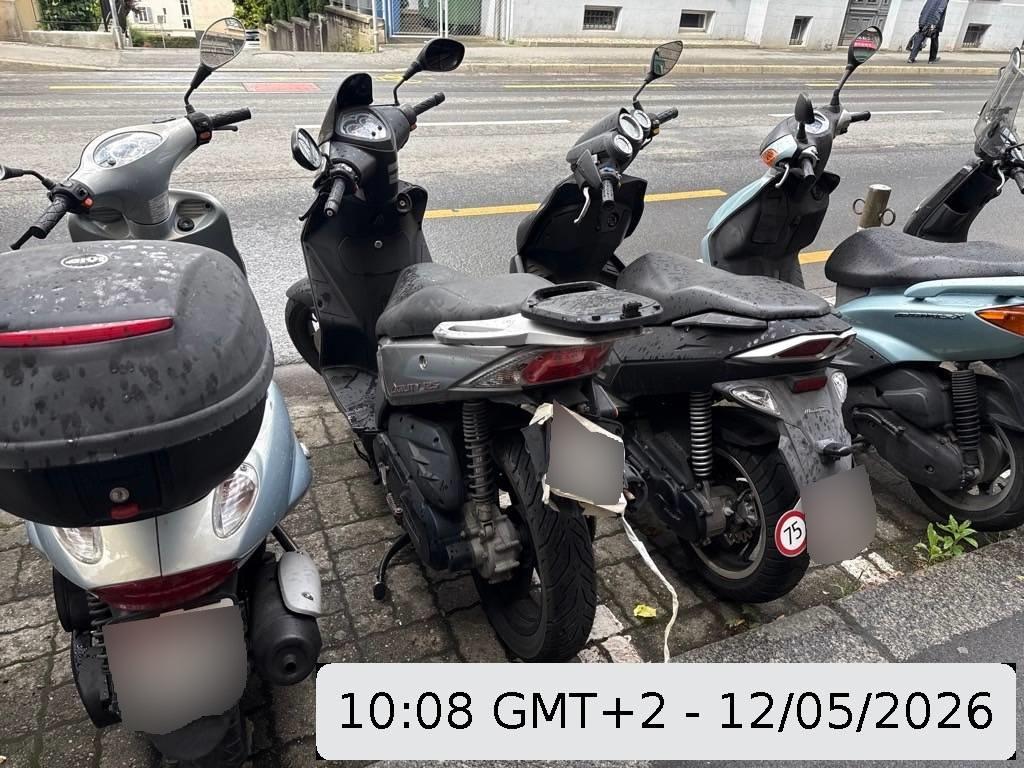 T2