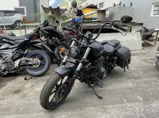 Indian Chief ID 468524
