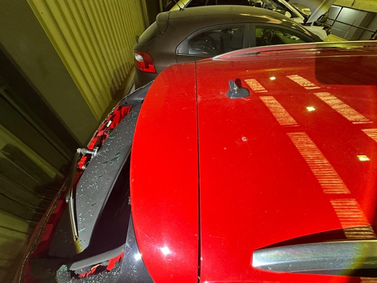 T16