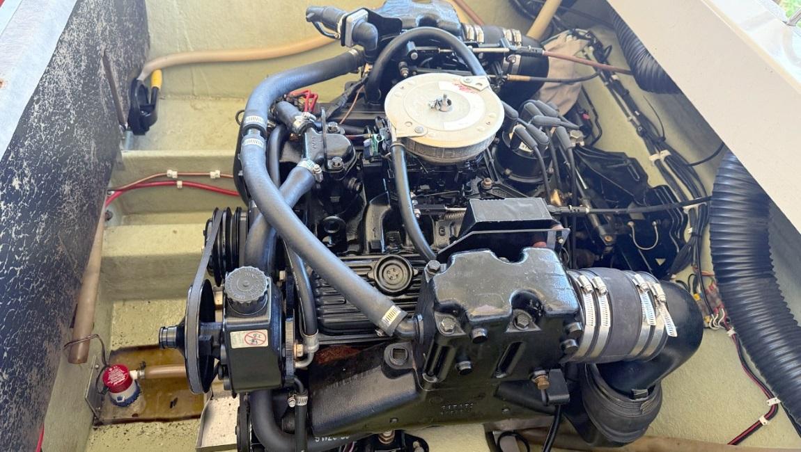 T19