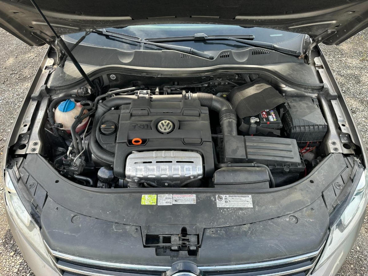 T11