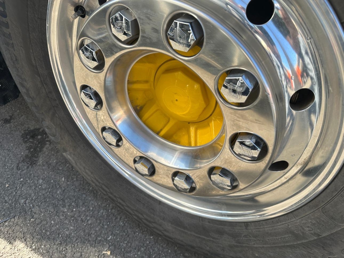 T19