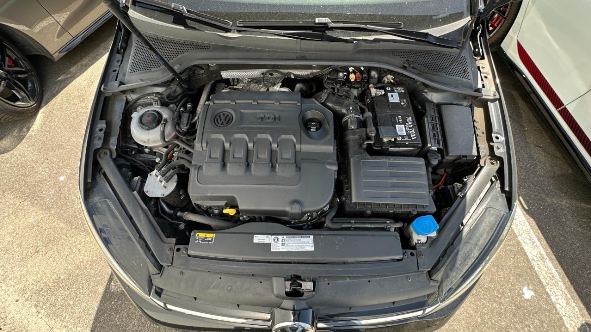 T11
