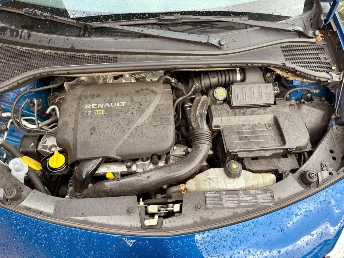 T11