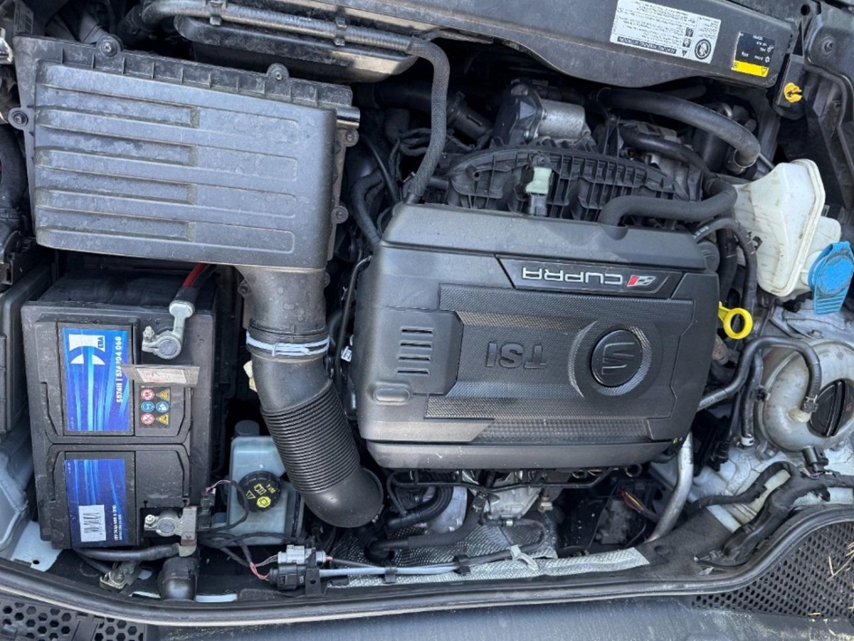 T11