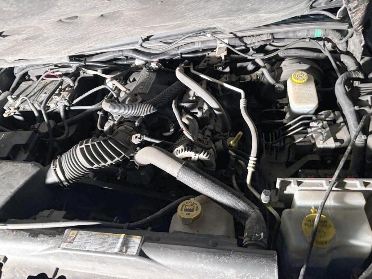 T11
