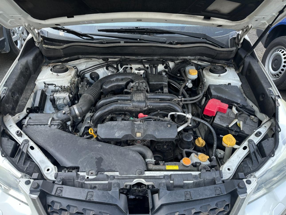 T17