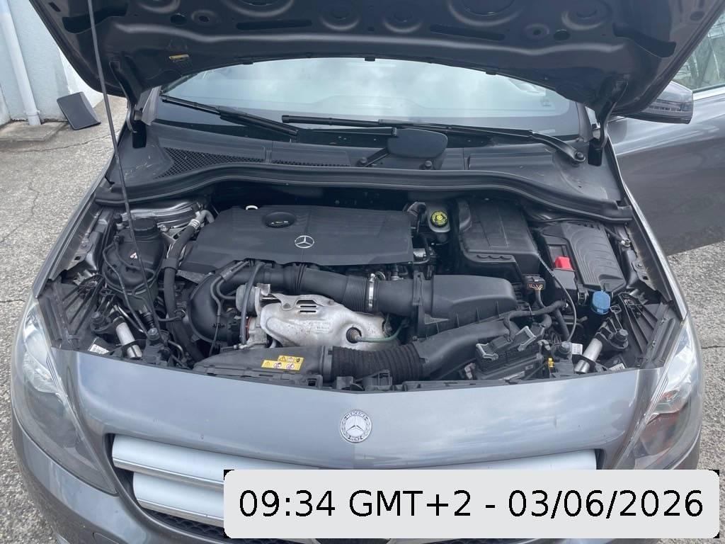 T13
