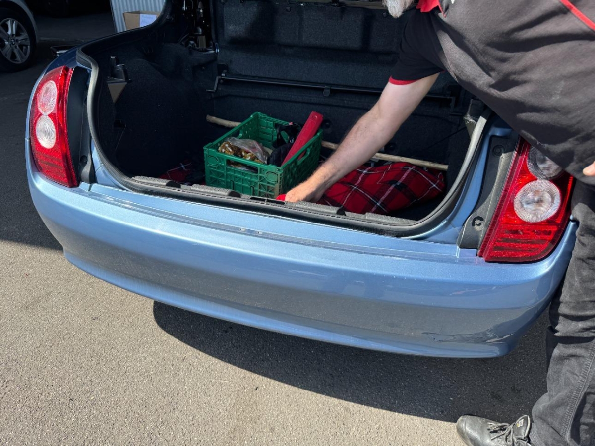 T13