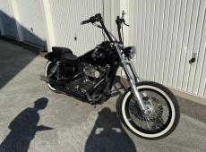 Harley-Davidson FXDWG ID 470569
