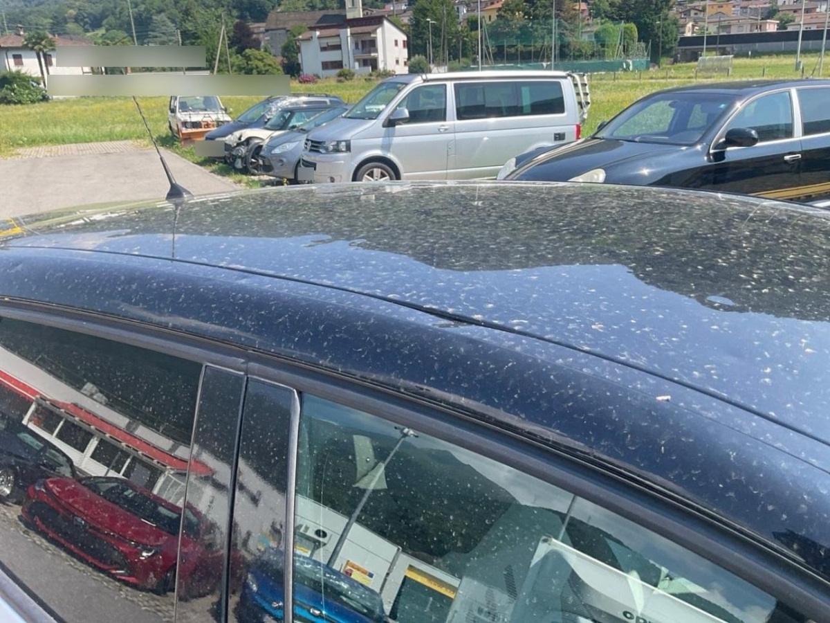 T16