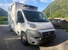 Fiat Ducato Frigo +4°/-20°C ID 471138