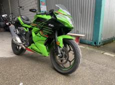 Kawasaki Ninja 125 (15991 km)