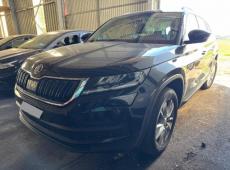 Skoda Kodiaq (115983 km)