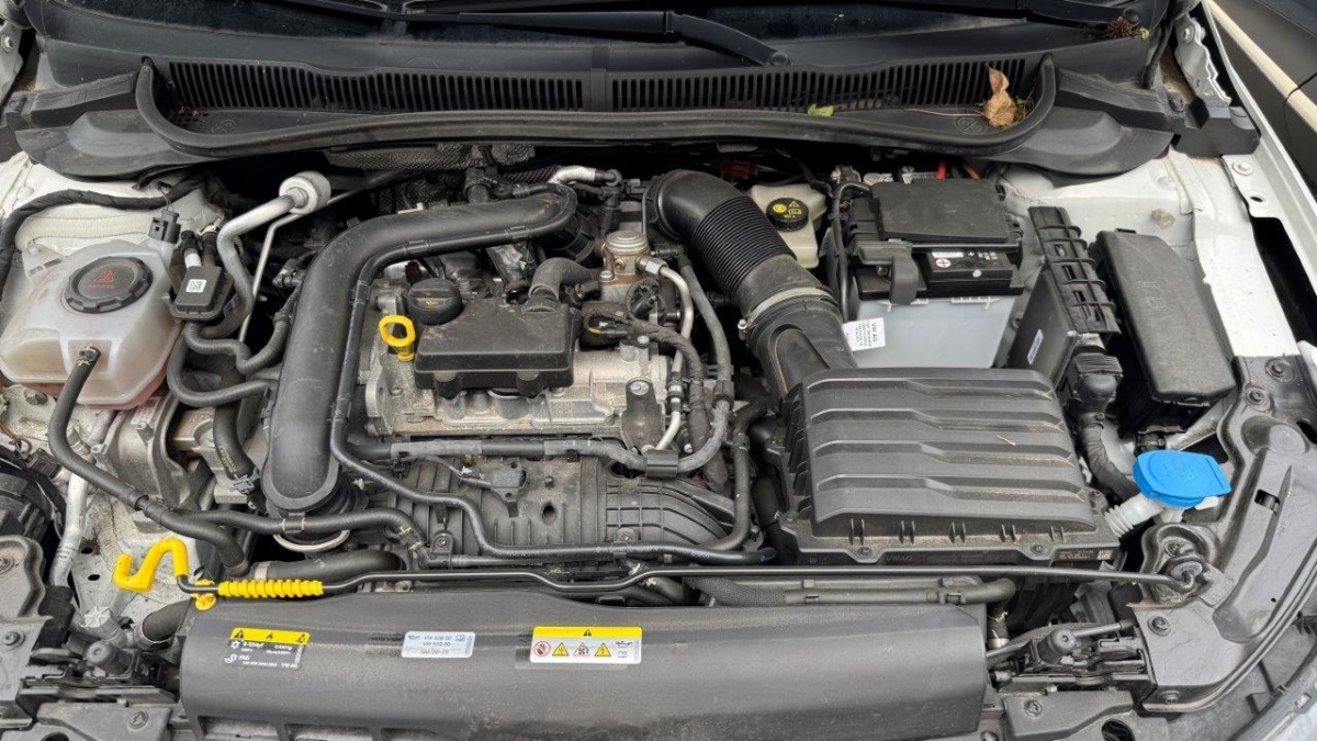 T11