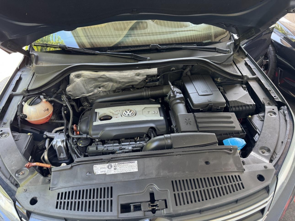 T12
