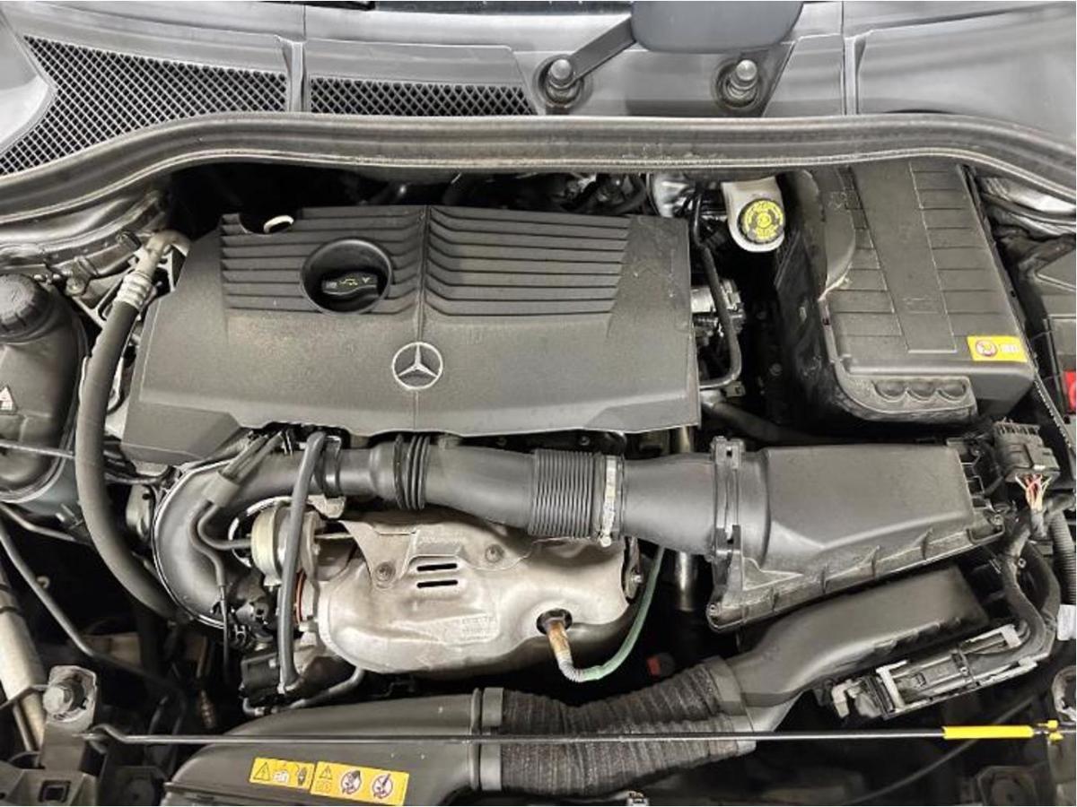 T11