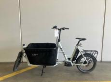 i:SY Cargo N3.8 ZR Maxi Cargo Weiss
