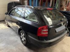 Skoda Octavia Combi (183541 km)