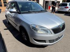 Skoda Fabia (117012 km)