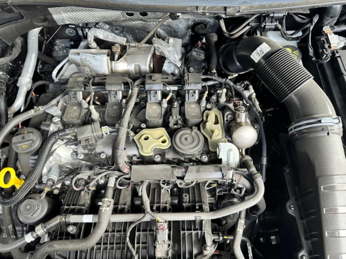 T11