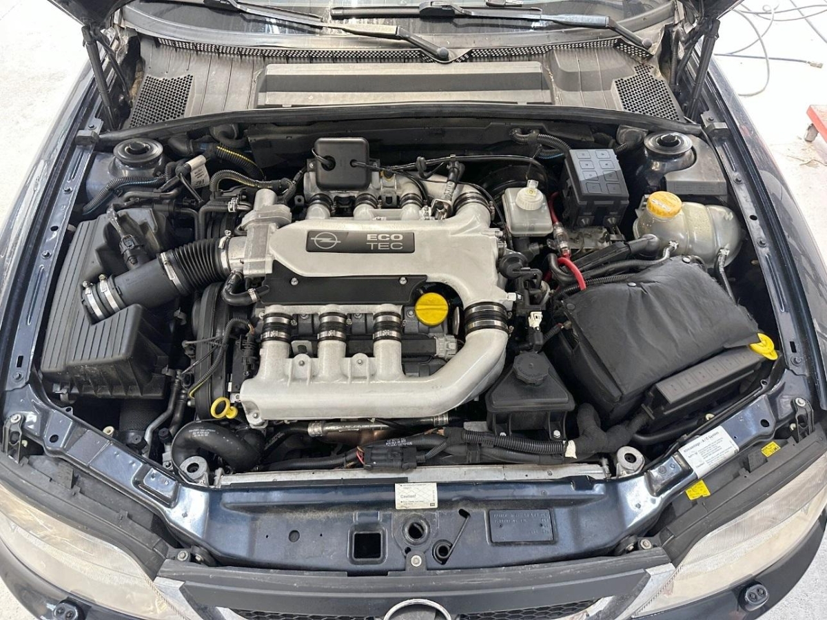 T11