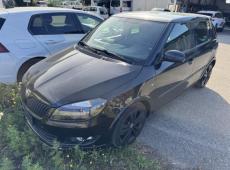 Skoda Fabia (113309 km)
