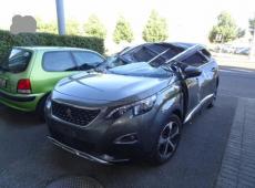 Peugeot 5008 (133232 km)
