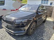 Skoda Karoq (31681 km)