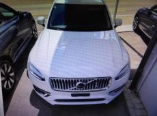 Volvo XC90 (81742 km)