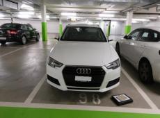 Audi A4 Avant (265225 km)