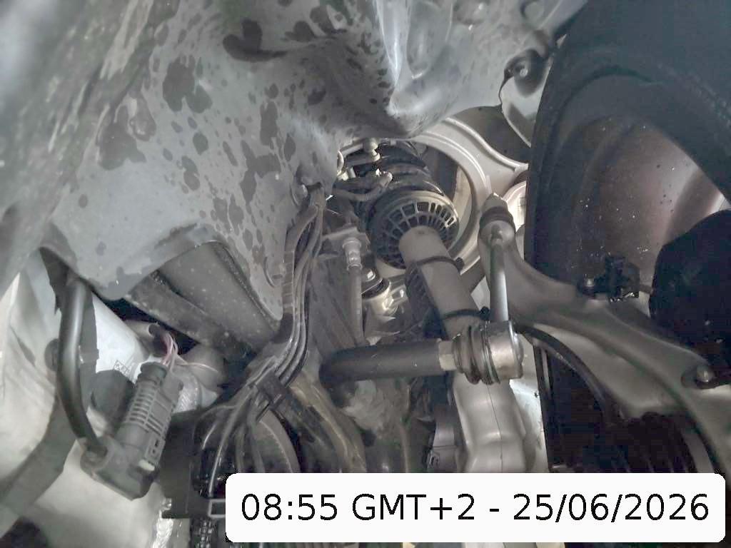 T19