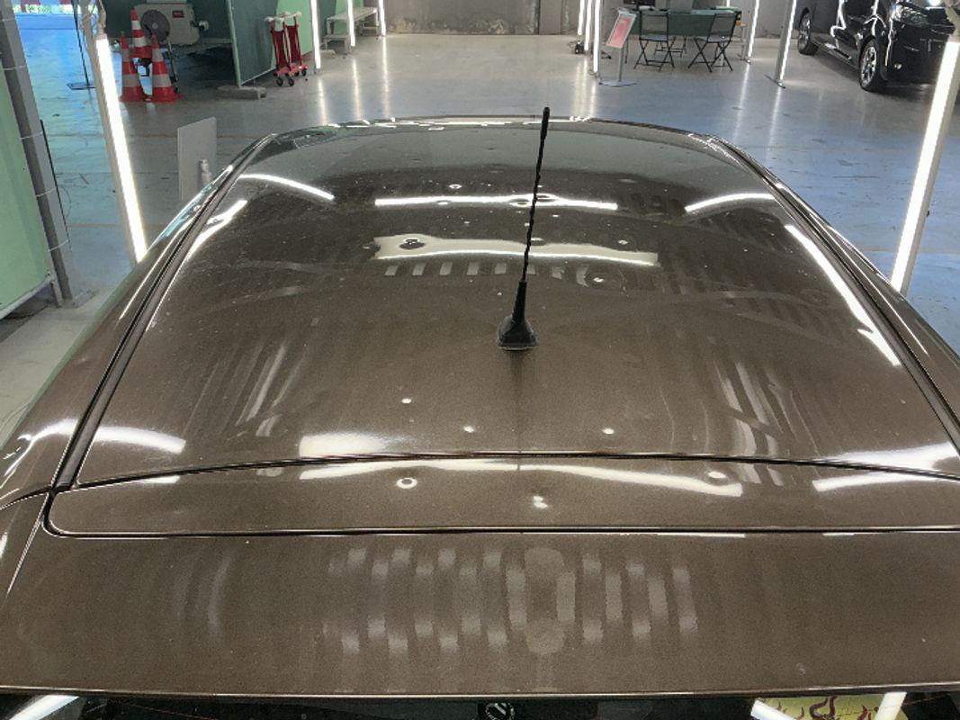 T19