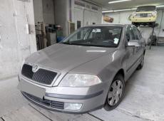 Skoda Octavia (206770 km)