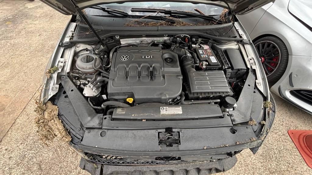 T12