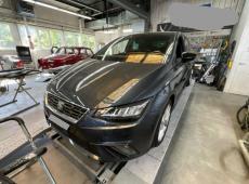 SEAT Ibiza (7725 km)