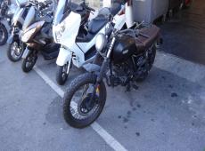 BRIGSTON BX125 ID 473774