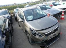 Peugeot 2008 (140973 km)
