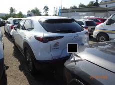 MAZDA CX-30 X 180 AMBITION PLUS ID 474090