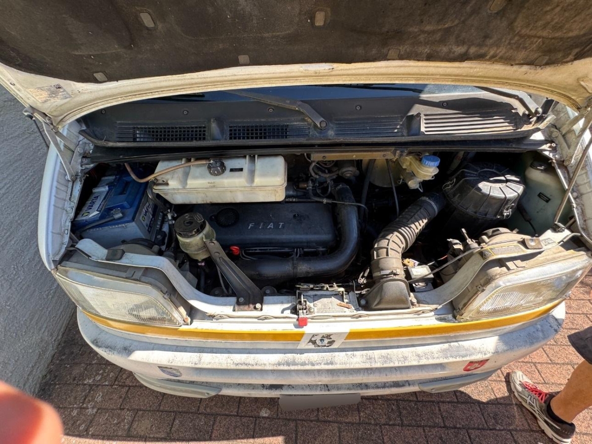 T8