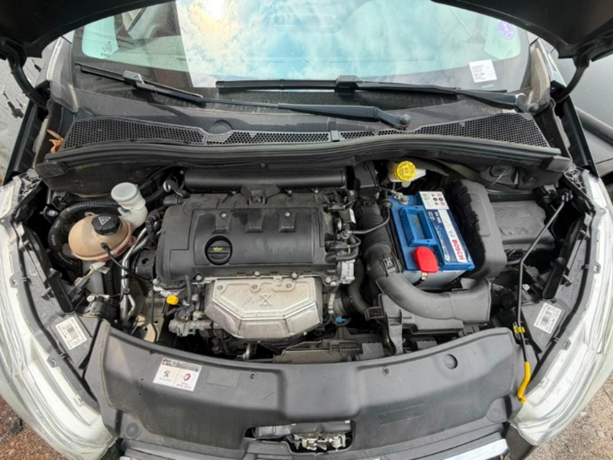T11