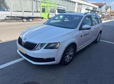 Skoda Octavia Combi (215594 km)