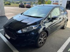 Ford Fiesta (176127 km)