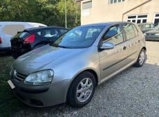 VW Golf V (354924 km)
