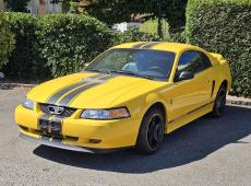 Ford Mustang 35TH ANNIVERSARY ID 475084