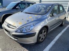 Peugeot 307 2.0 16V XT ID 475188