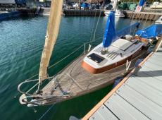 Shark 24 (6500 km)