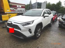 TOYOTA RAV-4 2.5 HSD TREND 4WD ID 475378