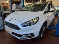 Ford S-Max (248511 km)