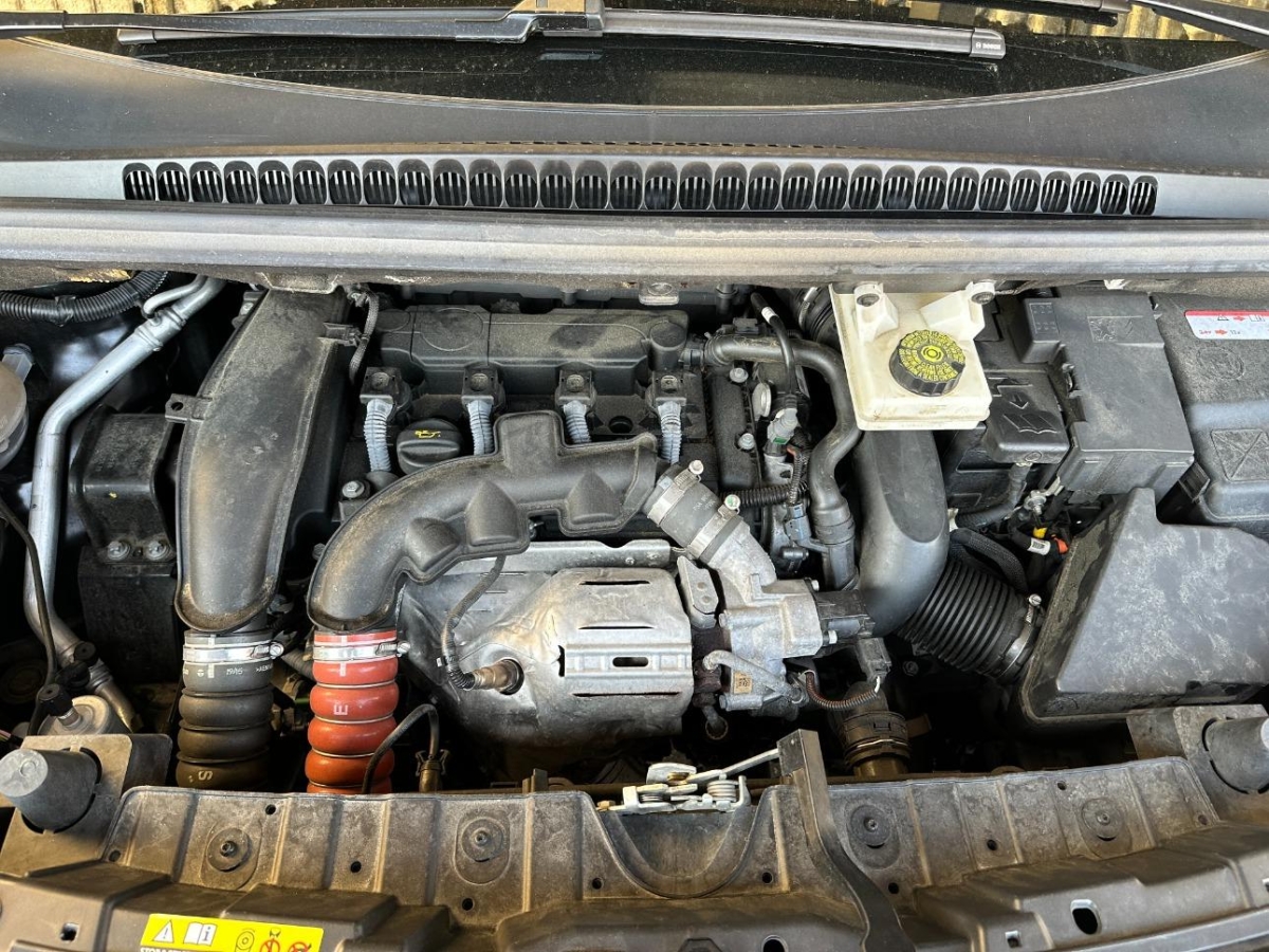 T13